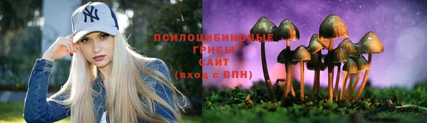 МДПВ Ладушкин