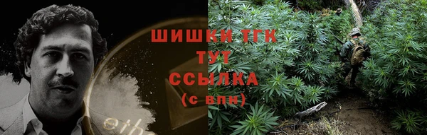 хмурый Лагань